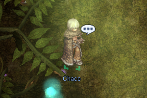 Chaco.png