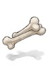Well-dried bone.jpg